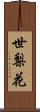 世梨花 Scroll