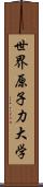 世界原子力大学 Scroll