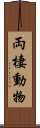 両棲動物 Scroll