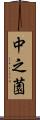 中之薗 Scroll