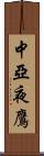 中亞夜鷹 Scroll