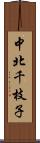 中北千枝子 Scroll