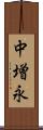 中増永 Scroll