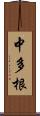 中多根 Scroll