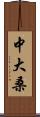 中大桑 Scroll