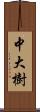 中大樹 Scroll