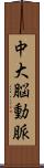 中大脳動脈 Scroll