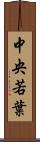 中央若葉 Scroll
