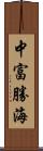 中富勝海 Scroll