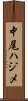 中尾ハジメ Scroll