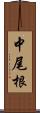 中尾根 Scroll