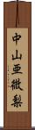 中山亜微梨 Scroll