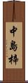 中島梓 Scroll
