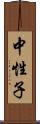 中性子 Scroll