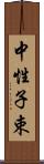 中性子束 Scroll