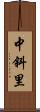 中斜里 Scroll