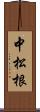 中松根 Scroll