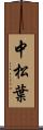 中松葉 Scroll