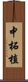 中柘植 Scroll