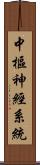 中樞神經系統 Scroll