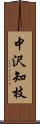 中沢知枝 Scroll
