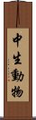 中生動物 Scroll