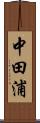 中田浦 Scroll