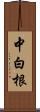 中白根 Scroll