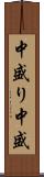 中盛り Scroll