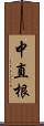 中直根 Scroll