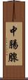 中腸腺 Scroll