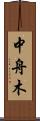 中舟木 Scroll