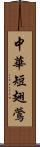 中華短翅鶯 Scroll