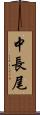 中長尾 Scroll