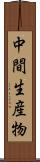 中間生産物 Scroll