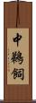 中鵜飼 Scroll