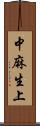 中麻生上 Scroll