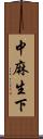 中麻生下 Scroll