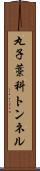 丸子藁科トンネル Scroll