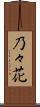 乃々花 Scroll