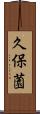 久保薗 Scroll