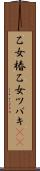 乙女椿 Scroll