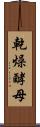 乾燥酵母 Scroll