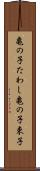亀の子たわし Scroll