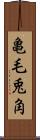 亀毛兎角 Scroll