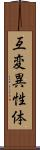 互変異性体 Scroll