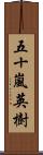 五十嵐英樹 Scroll
