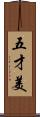 五才美 Scroll