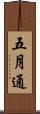 五月通 Scroll