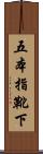 五本指靴下 Scroll